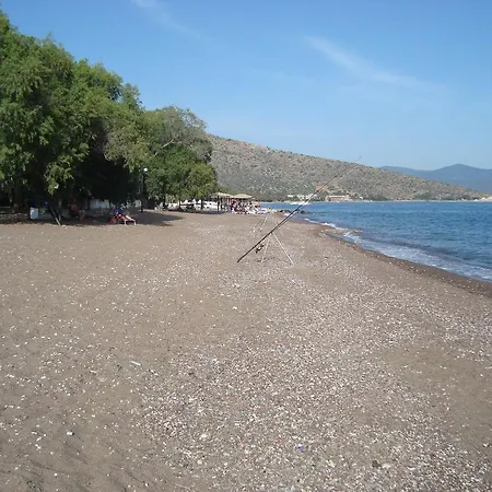 Dimitra *