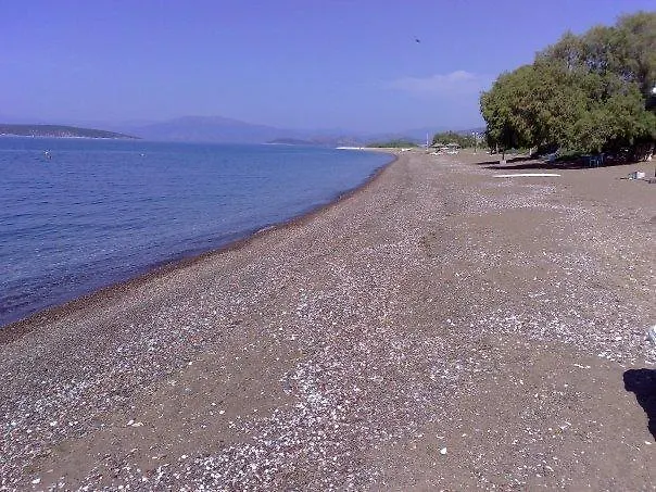 Dimitra Appartement *